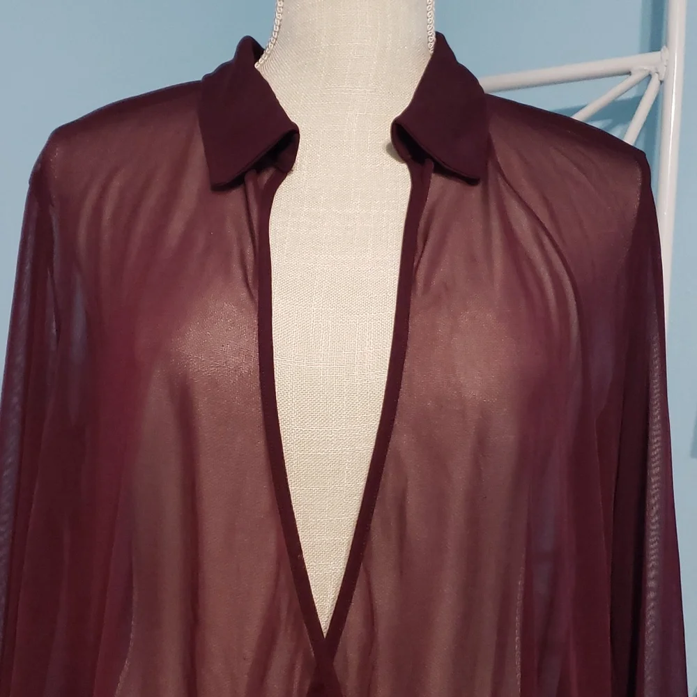 Express Sheer Deep-V Top - Picture 2 of 7